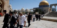 مستوطنون يدنسون باحات المسجد الأقصى