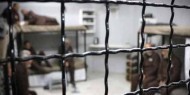 المعتقل قصي حمدية يدخل عامه الـ 22 في سجون الاحتلال
