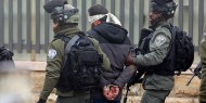 القدس المحتلة: الاحتلال يعتقل شابًا قرب حاجز قلنديا
