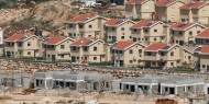 الاحتلال يقر خطة ضخمة لبناء 8300 وحدة استيطانية في القدس