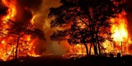الولايات المتحدة: بايدن يعلن حالة الطوارئ في كاليفورنيا بسبب الحرائق