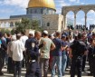 "جماعات الهيكل" تنظم تظاهرة احتجاجاً على قرار اغلاق المسجد الأقصى