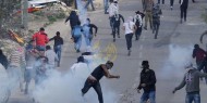 إصابات بالاختناق عقب إطلاق الاحتلال قنابل الغاز شرقي قلقيلية