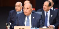 مصر تجدد رفضها للإجراءات الإسرائيلية الأحادية