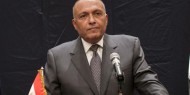 مصر تجدد رفض اجتياح إسرائيلي محتمل لرفح