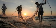 الزراعة في غزة تحدد موعد إعادة فتح البحر أمام الصيادين