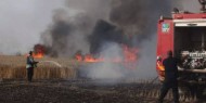 الإعلام العبري: اندلاع حريق في غلاف غزة