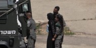 الاحتلال يعتقل أما و3 من أبنائها شمال أريحا
