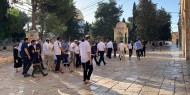 صباح اليوم.. عشرات المستوطنين يقتحمون باحات المسجد الأقصى