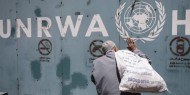 "أونروا": ألمانيا تقدم 21 مليون يورو لدعم اللاجئين الفلسطينيين في غزة والضفة