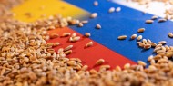 تعرف على اتفاقية تصدير الحبوب بين روسيا وأوكرانيا