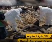 فيديو|| «الأورومتوسطي»: الاحتلال قتل 12 مدنيا من عائلة واحدة في مدينة غزة