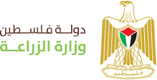 صورة الخبر